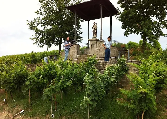 Akzent Franziskaner