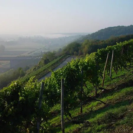 Hotel Akzent Franziskaner 4*