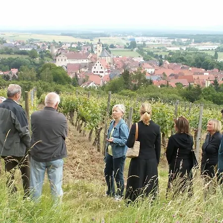 Akzent Franziskaner