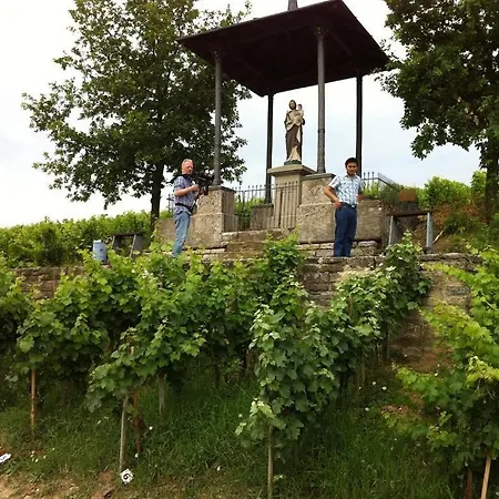 Akzent Franziskaner