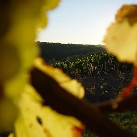 Akzent Franziskaner Hotel Dettelbach