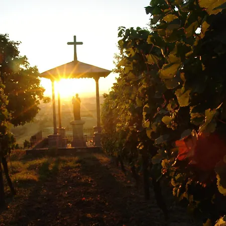 Akzent Franziskaner Hotel 4*